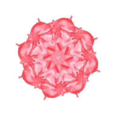 Alkol mürekkebi beyaz arka planda çiçek şeklinde boyanmış..