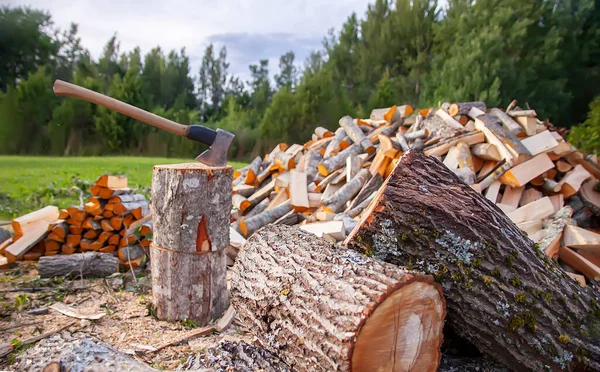 在绿地上砍柴和木斧 为冬季采集木柴 — 图库照片