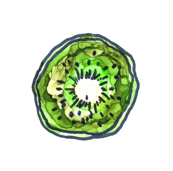 Rebanada Kiwi Verde Pintado Mano Con Ilustración Tinta Alcohol —  Fotos de Stock