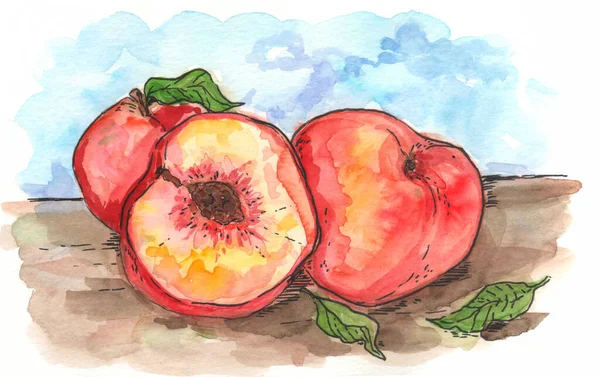 Frutta Alla Pesca Pittura Acquerello Illustrazione Dipinta Mano — Foto Stock