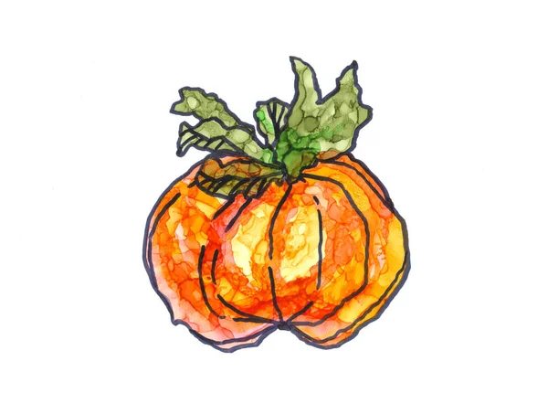 Hand Painted Alcohol Ink Illustration Orange Pumpkin — Stock Photo, Image