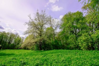 Kırsal kesimde sakin bir bahar manzarası.