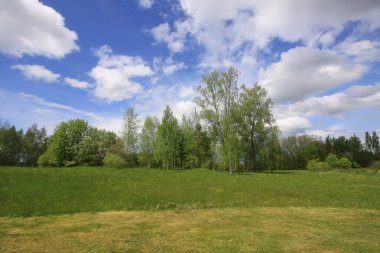 Kırsal kesimde sakin bir bahar manzarası.