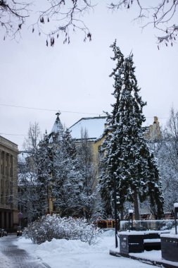 Letonya başkenti Riga kışın karla kaplı çatılarıyla.