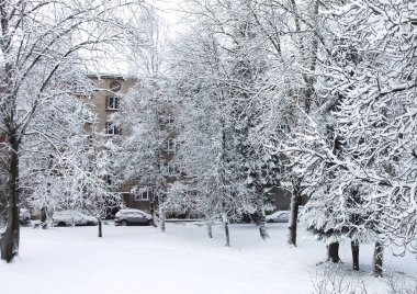 Sokaklar karla kaplı. Kış mevsiminde kar üstüne şehir manzarası.