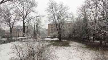 Riga caddesinde kar yağan soğuk kış günü.