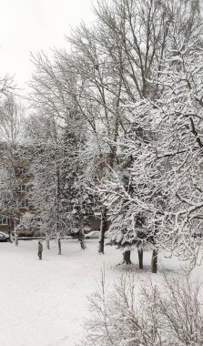 Street of Riga covered with snow.