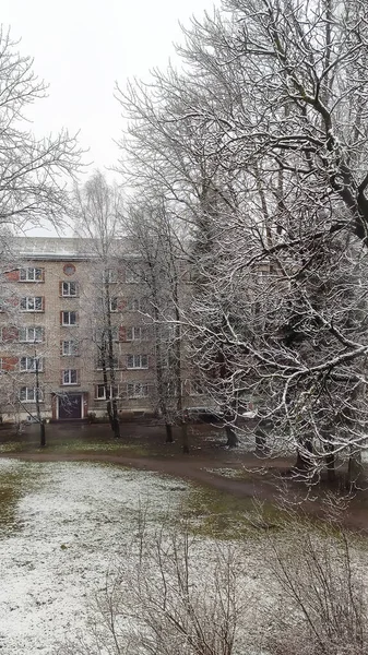 Riga caddesinde kar yağan soğuk kış günü.