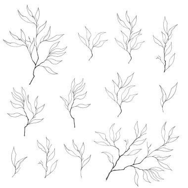 Beyaz bir arka plan üzerinde kontur dallar kümesi. Mürekkeple çizilmiş tasarım, dekorasyon, tebrik kartları, fayans, davetiyeler, reklam için.