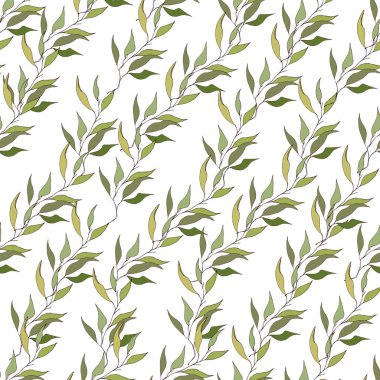Açık renkli yeşil yaprakları ile şube. Narin doku kumaşlar için.