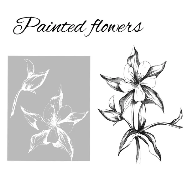Ένα σύνολο περιγράμματος των λουλουδιών διάνυσμα. Σκίτσο ενός λουλουδιού που σχεδιάζεται με μελάνι. Περίγραμμα clip art για χρήση στη σχεδίαση. — Διανυσματικό Αρχείο