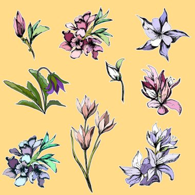 Parlak çiçek ve buketleri çıkartmalar bir dizi. Narin pembe ve mor çiçekler. Vektör çizimi.