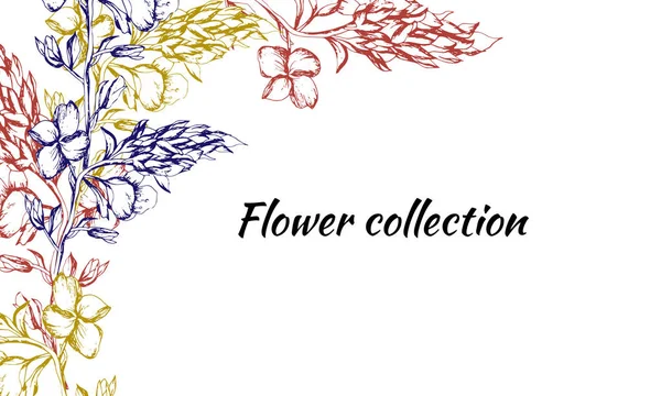 Vintage-Karte mit Konturblumen. gezeichnete Frühlingsblumen zur Dekoration, Papier, Karten, Grüße. Textrahmen. Vektorillustration — Stockvektor