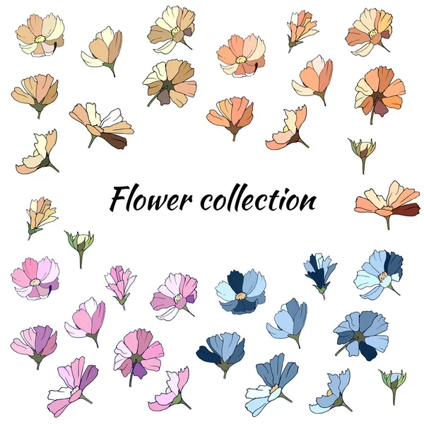 Conjunto de flores de primavera de flores rosa, azul e bege em um fundo branco. Coleção de margaridas multicoloridas desenhadas à mão . — Vetor de Stock