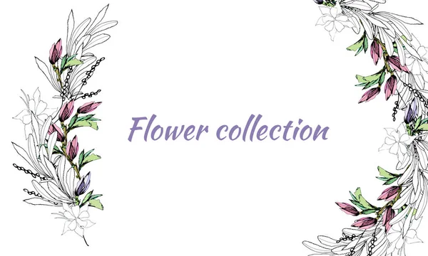 Rahmen für Text mit Frühlingsblumen. Set von handgezeichneten mehrfarbigen und Konturfarben. Vektorillustration. — Stockvektor