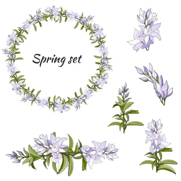 Conjunto de primavera de patrones florales, adornos y coronas vectoriales de delicadas flores violetas para decorar tarjetas, saludos de diseño — Vector de stock