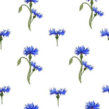 Beyaz bir arka planda mavi peygamberçiçekleriyle çiçek deseni. Kumaş, fayans, kağıt dekorasyon için vektör Dikişsiz süsleme.
