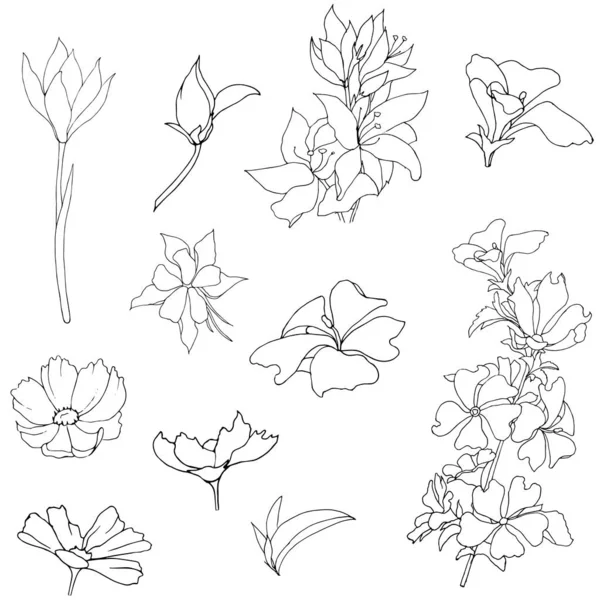 Vectorset contour bloemen op een witte achtergrond. Zwarte en witte voorwerpen. Vector illustratie voor decoratie en design. — Stockvector