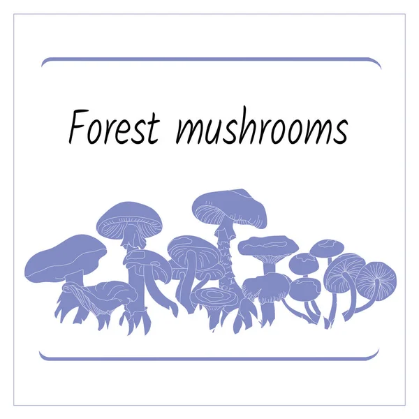 Zestaw grzybów konturowych na białym tle. Sylwetki grzybów leśnych do dekoracji i projektowania. Odznaki wektorowe. — Wektor stockowy