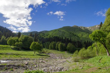dağlarda yaz peyzaj