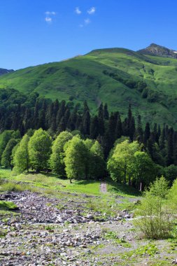 dağlarda yaz peyzaj