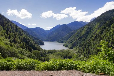 dağlarda yaz peyzaj