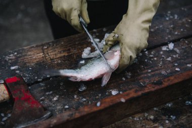 Kesme ve kesme tablo üzerinde bir bıçakla Balık Temizleme