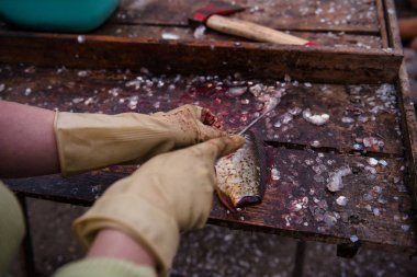 Kesme ve kesme tablo eldivenli bir bıçakla Balık Temizleme