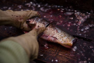 Kesme ve kesme tablo üzerinde bir bıçakla Balık Temizleme