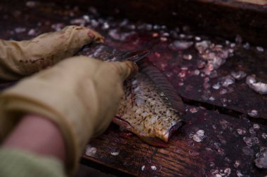 Kesme ve kesme tablo üzerinde bir bıçakla Balık Temizleme