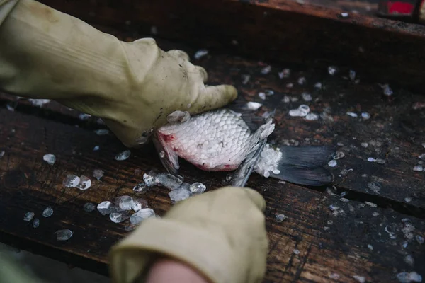Découpe et nettoyage du poisson avec un couteau sur la table de découpe — Photo