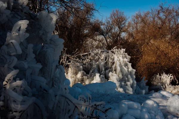 Frozen ice tree in the winter. The parts of the tree are frozen.