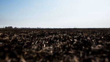 siyah ölü alan yandı