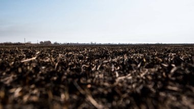 siyah ölü alan yandı