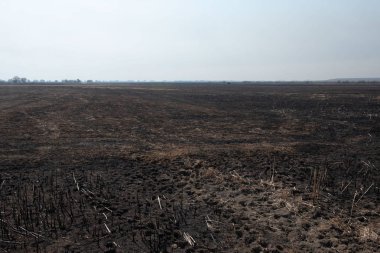 siyah ölü alan yandı