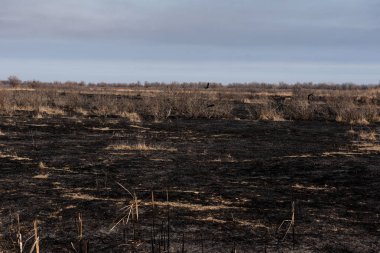 siyah ölü alan yandı