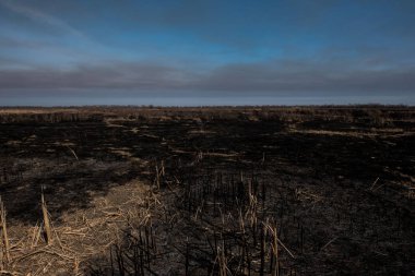 siyah ölü alan yandı