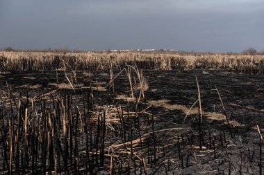 siyah ölü alan yandı