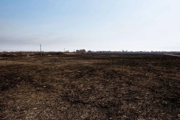 Campo Quemado Muerto Negro — Foto de Stock