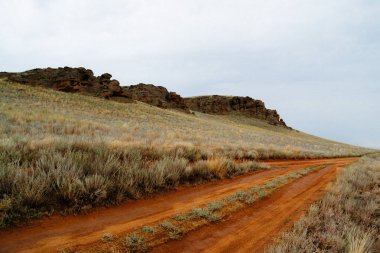 Bozkır manzarası. Kuru, sıcak kum üzerinde Yalnız yeşil bitkiler