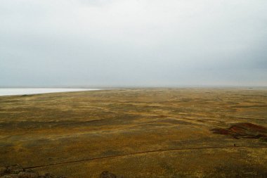 Bozkır manzarası. Kuru, sıcak kum üzerinde Yalnız yeşil bitkiler