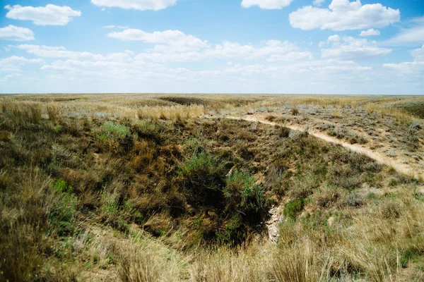 Colinas distantes. Estepe montanhosa. Colinas curvilíneas. Céu azul e relva. Bela planície . — Fotografia de Stock