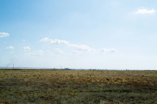 Stepi na šířku. Osamělé zelené rostliny na suchém, horkém písku — Stock fotografie