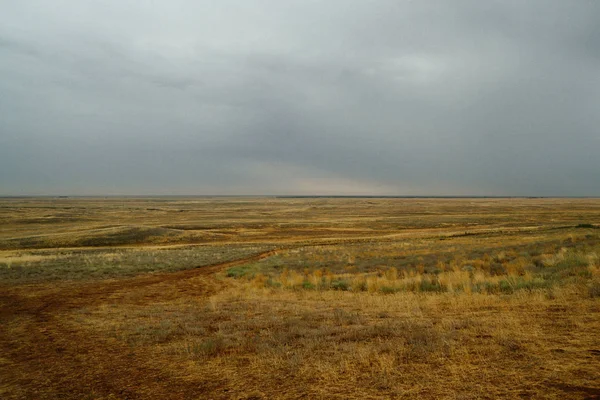 Paesaggio stepposo. Piante verdi solitarie su sabbia secca e calda — Foto Stock