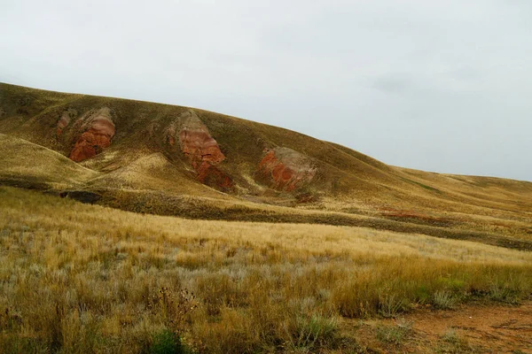 Uzak tepeler. Tepelik bozkır. Kıvrımlı tepeler. Mavi gökyüzü ve çimenler. Güzel düz. — Stok fotoğraf