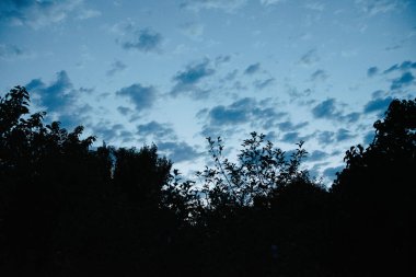 Mutlu yeni gün kavramı: bokeh ışık arka plan ile çarpıcı sarı çayır sonbahar gündoğumu