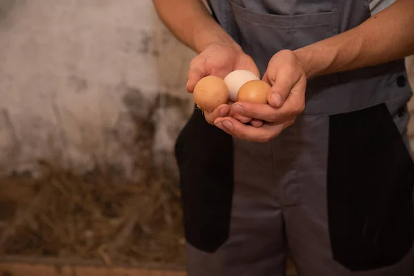 Maschio Agricoltore Che Tiene Uova Mano Uomo Sta Mostrando Cibo — Foto Stock