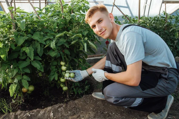 Contadino Felice Lavoro Serra Ritratto Uomo Lavoro Serra Concetto Agricoltura — Foto Stock