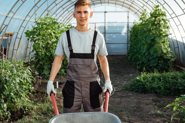 Contadino Felice Lavoro Serra Uomo Con Una Carriola Giardino Serrail — Foto Stock