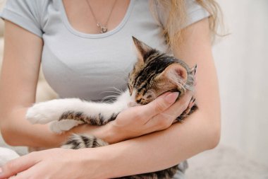 Kediyi elinde tutan genç bir kadın. Kedili bir kız. Kedisi olan güzel bir kadın. Evcil hayvanlar ve insanlar.
